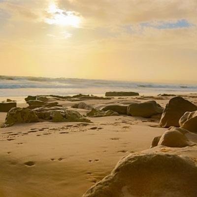 博鱼APP官网入口