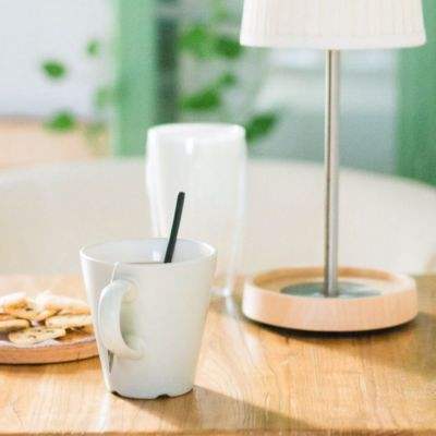 一码一肖100准资料应用